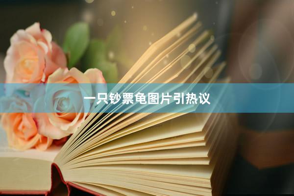 一只钞票龟图片引热议