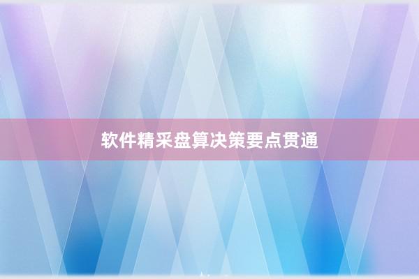 软件精采盘算决策要点贯通