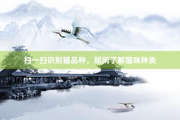 扫一扫识别猫品种，赋闲了解猫咪种类