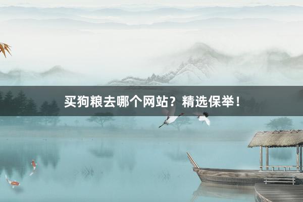买狗粮去哪个网站？精选保举！